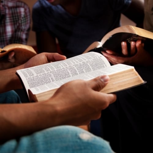 Transformed Therapy Church Group Counseling (1)